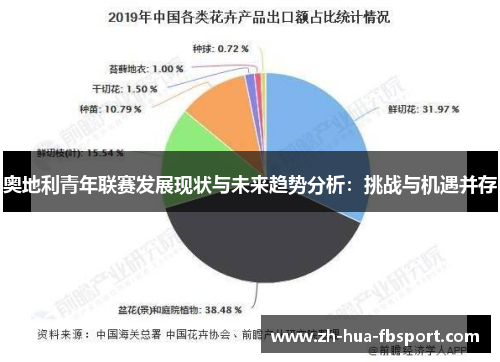 奥地利青年联赛发展现状与未来趋势分析：挑战与机遇并存