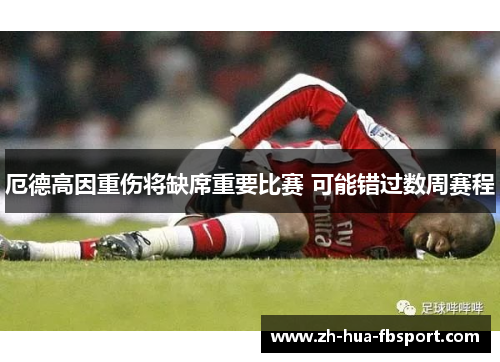 厄德高因重伤将缺席重要比赛 可能错过数周赛程 厄德高因重伤将缺席重要比赛 可能错过数周赛程