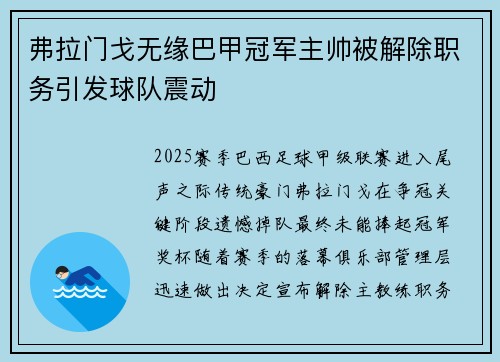 弗拉门戈无缘巴甲冠军主帅被解除职务引发球队震动 弗拉门戈无缘巴甲冠军主帅被解除职务引发球队震动